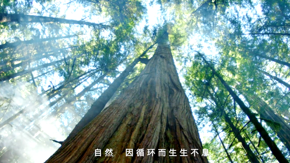 圖片1.png